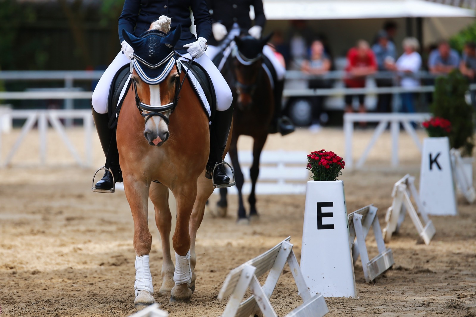Dressage